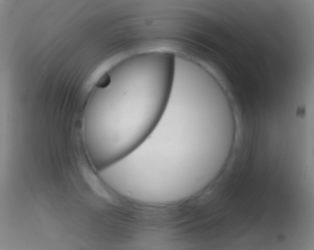 X0000114670850200910211007