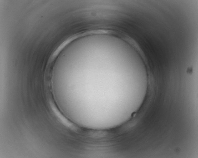 X0000114670851200910211007