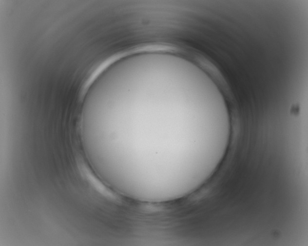X0000114670852200910211007