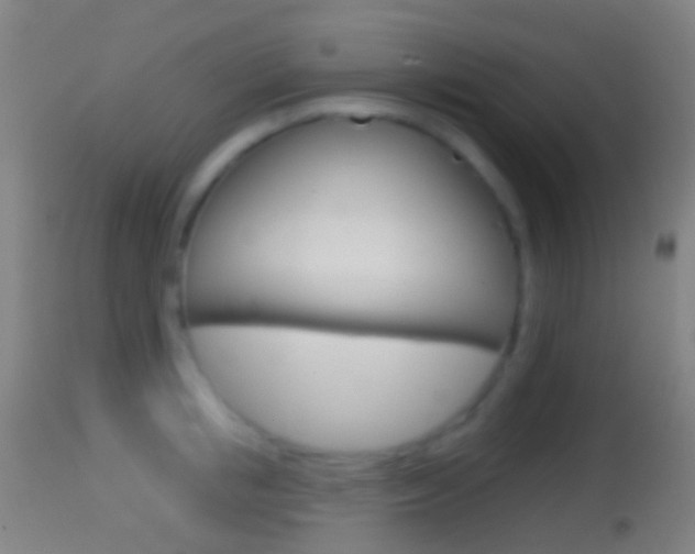 X0000114670853200910211007