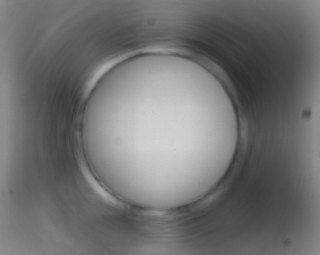 X0000114670855200910211007
