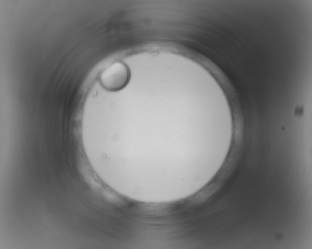 X0000114670856200910211007