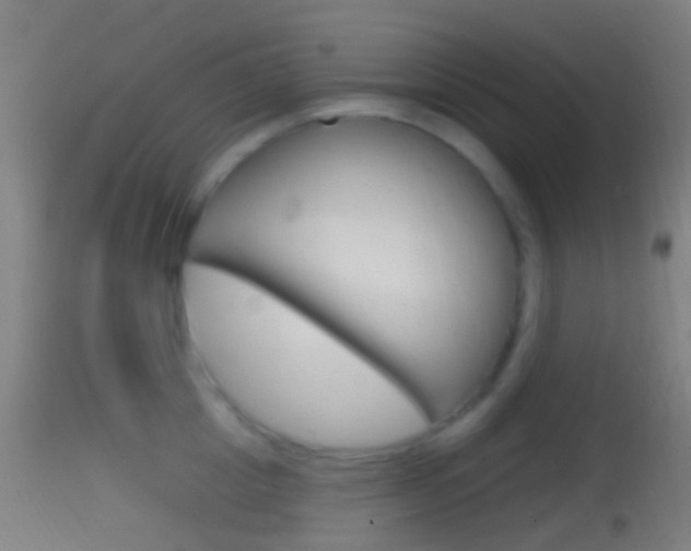 X0000114670857200910211007