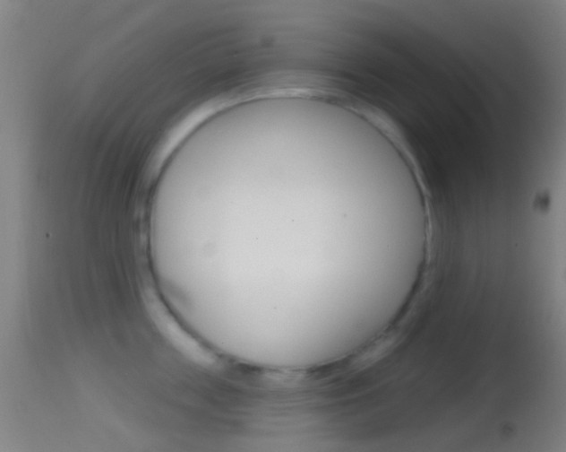 X0000114670859200910211007