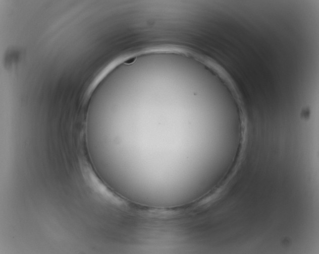 X0000114670860200910211007