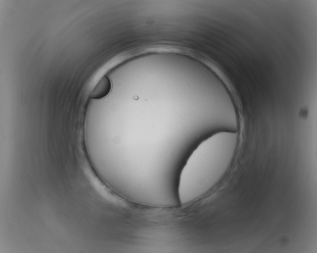 X0000114670861200910211007