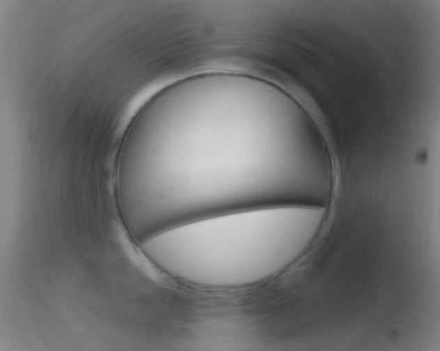 X0000114670862200910211007