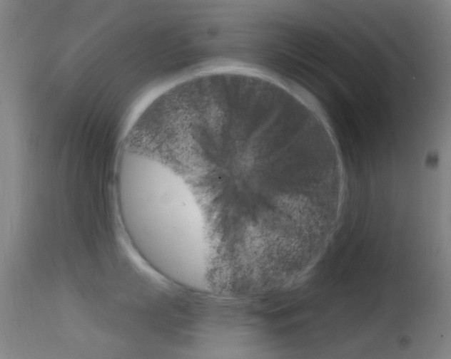 X0000114670863200910211007