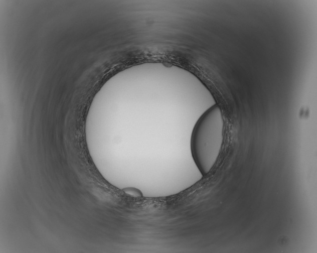 X0000114670865200910211006