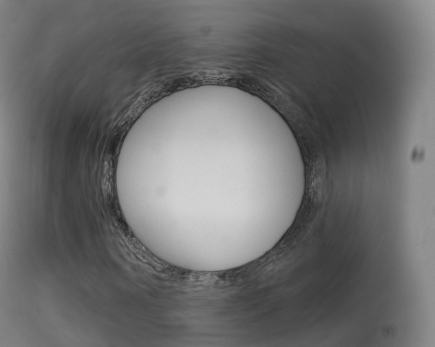 X0000114670866200910211006