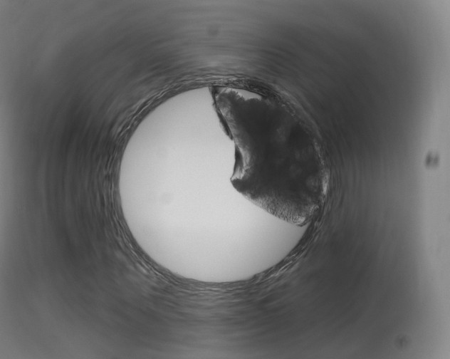 X0000114670867200910211006