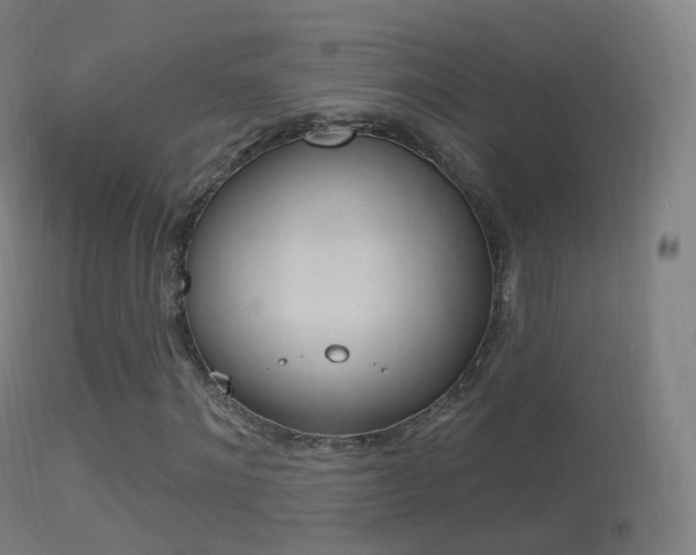 X0000114670868200910211006