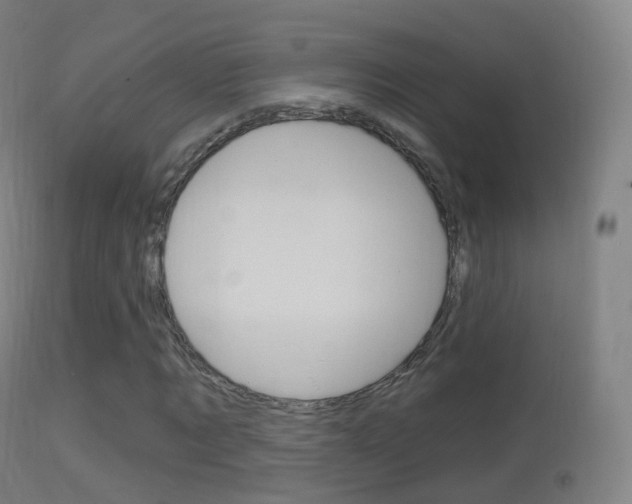 X0000114670869200910211006