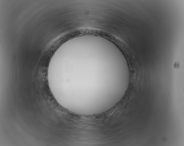 X0000114670870200910211006