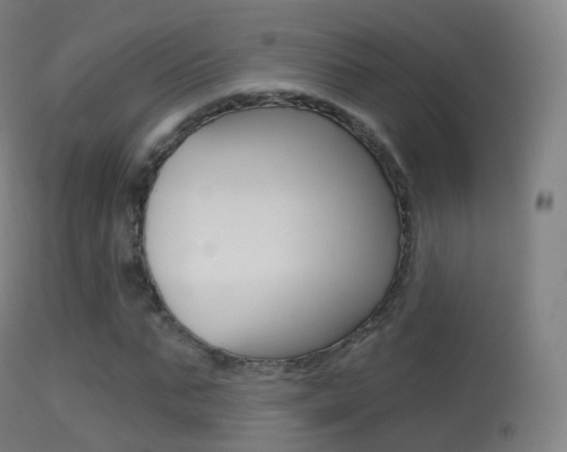X0000114670871200910211006