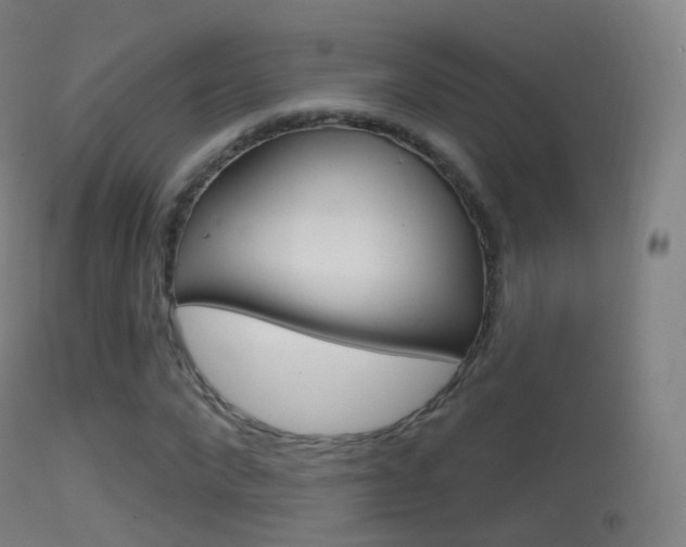 X0000114670872200910211006