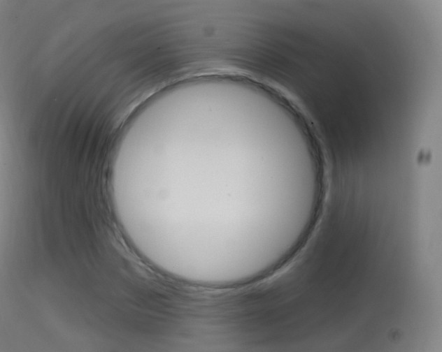 X0000114670873200910211006