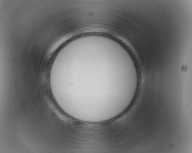 X0000114670874200910211006