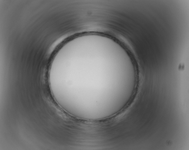 X0000114670875200910211006