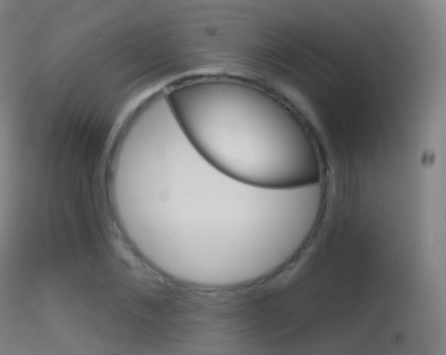 X0000114670876200910211006