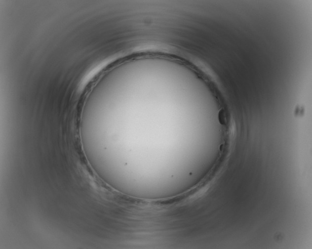 X0000114670877200910211006