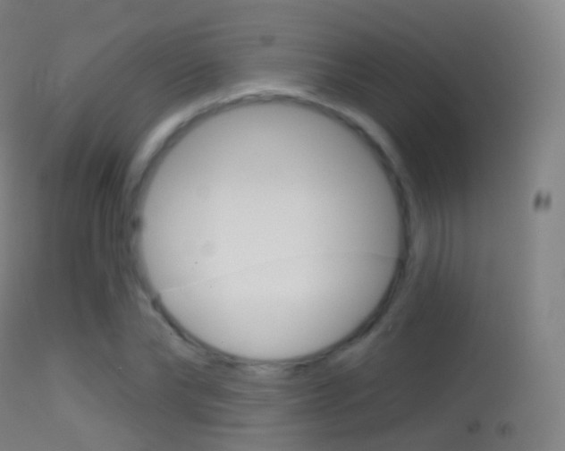 X0000114670878200910211006