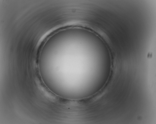 X0000114670880200910211006