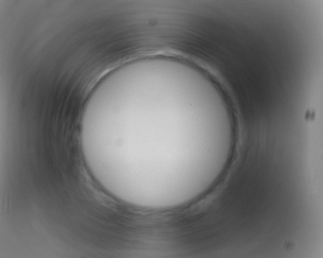 X0000114670881200910211006