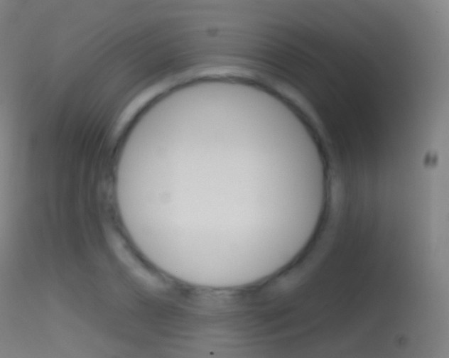 X0000114670882200910211006