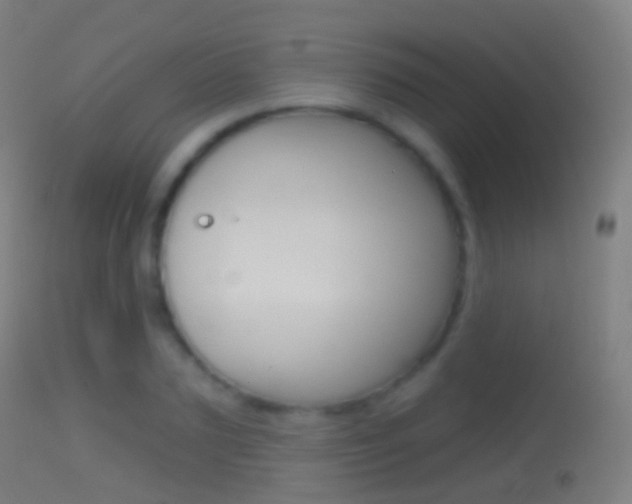 X0000114670883200910211006