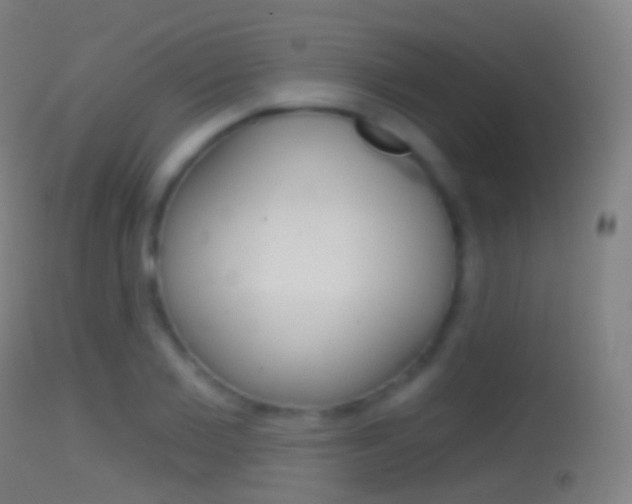 X0000114670885200910211006