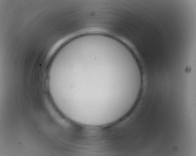 X0000114670886200910211006