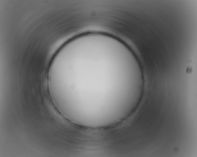 X0000114670887200910211006