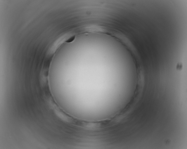 X0000114670889200910211006