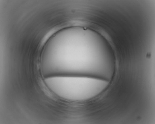 X0000114670891200910211006