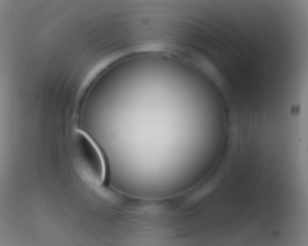X0000114670892200910211006
