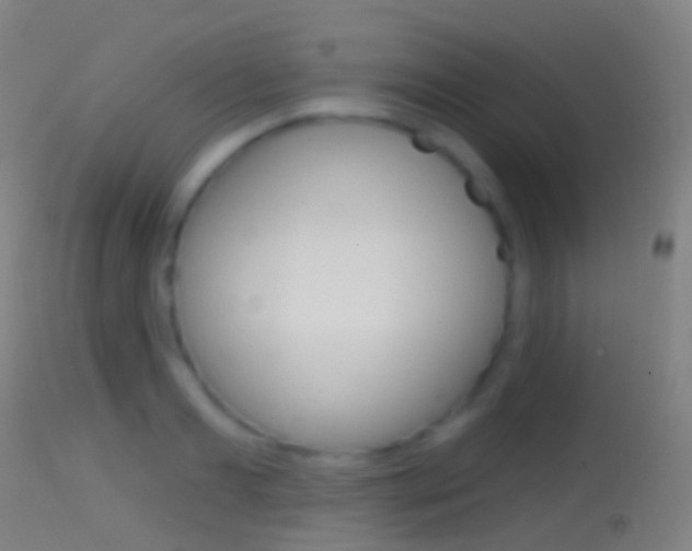 X0000114670893200910211006