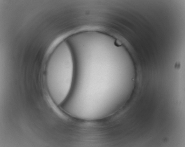 X0000114670894200910211006