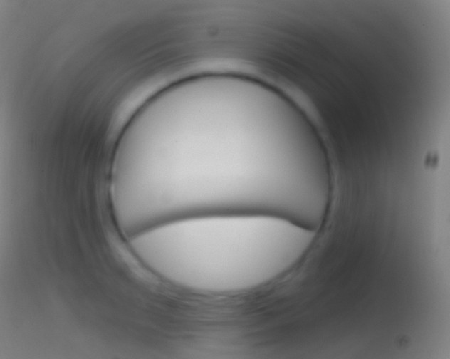 X0000114670895200910211006