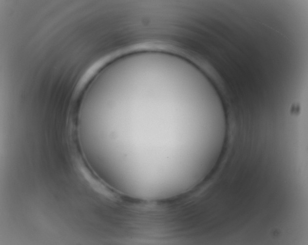 X0000114670896200910211006