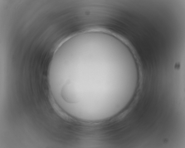 X0000114670897200910211006
