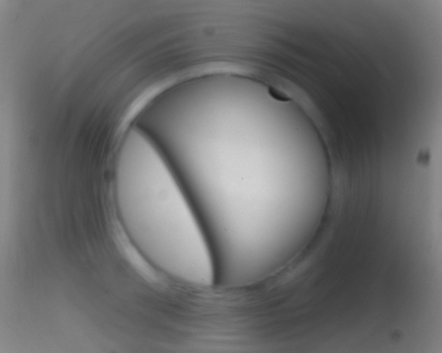 X0000114670898200910211006