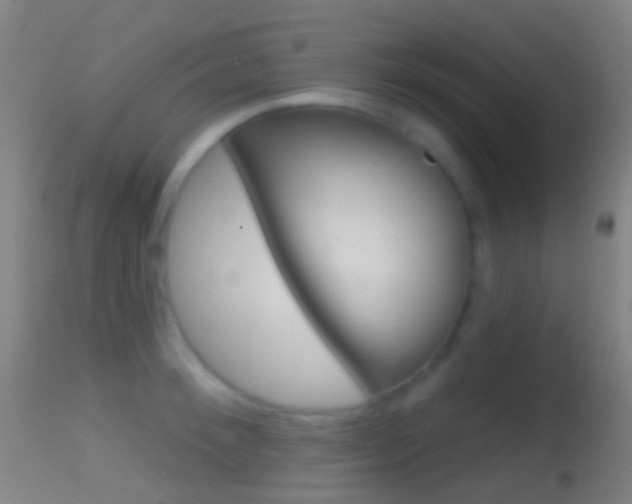 X0000114670900200910211006