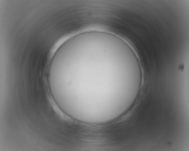X0000114670901200910211006