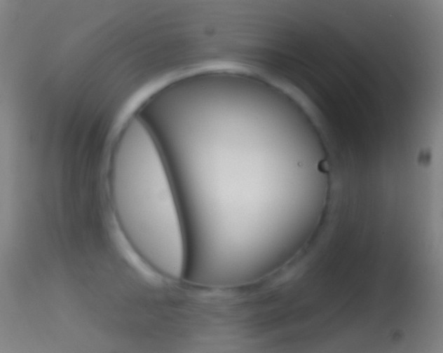 X0000114670902200910211006