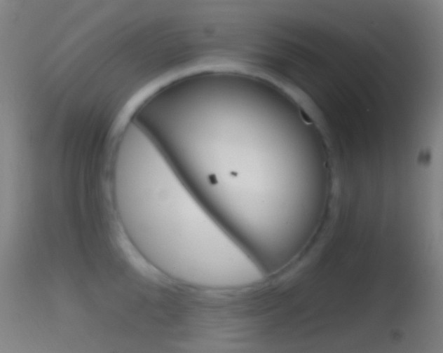 X0000114670904200910211006