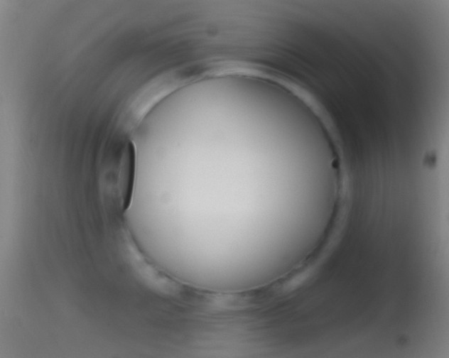 X0000114670905200910211006
