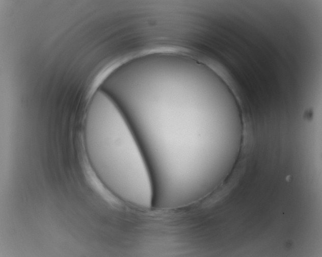 X0000114670906200910211006