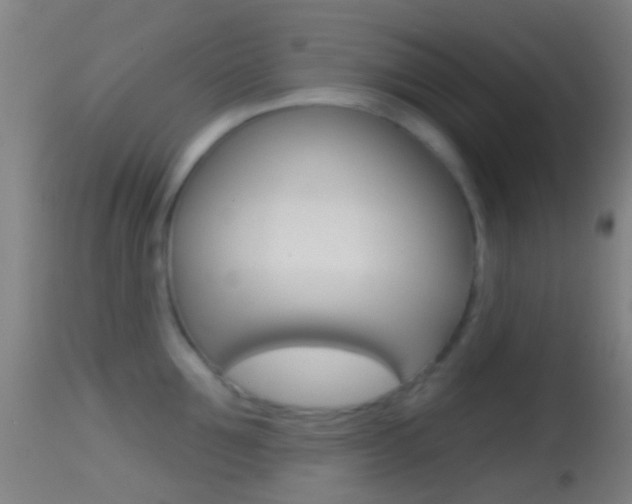 X0000114670907200910211006