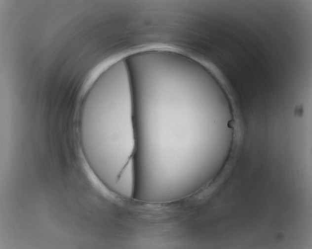 X0000114670910200910211006